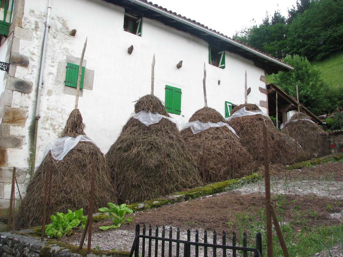 Olasenea Aterpea
