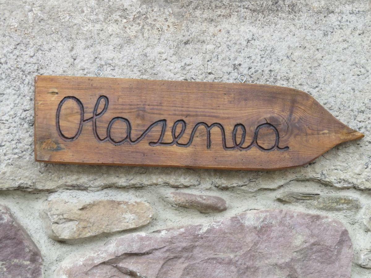 Hostel Olasenea Aterpea *